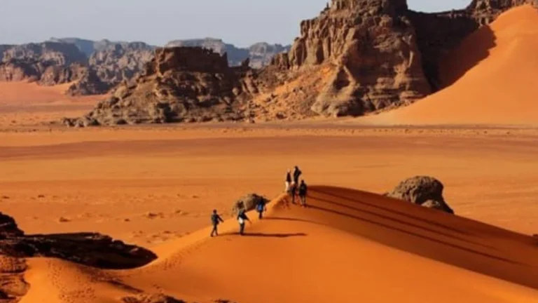 رحلات البر والتخييم